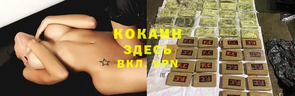 крисы Верхний Тагил