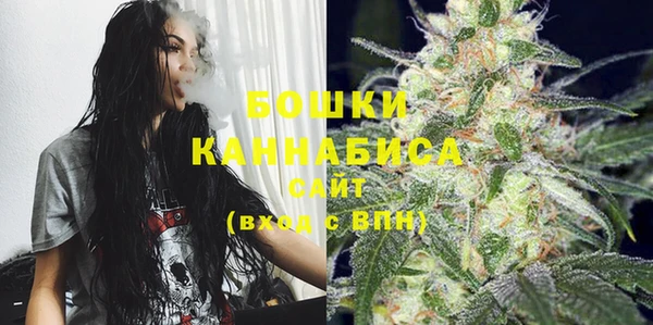 крисы Верхний Тагил