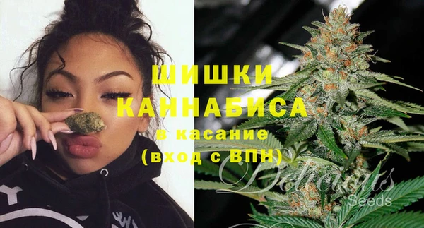ПСИЛОЦИБИНОВЫЕ ГРИБЫ Верея