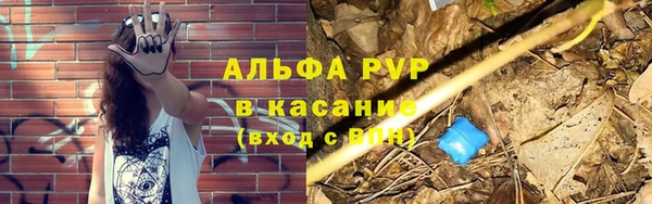ПСИЛОЦИБИНОВЫЕ ГРИБЫ Верея