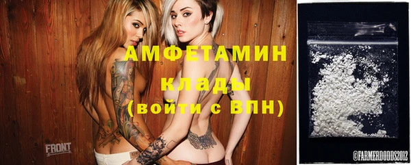 крисы Верхний Тагил