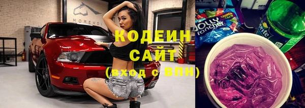 крисы Верхний Тагил