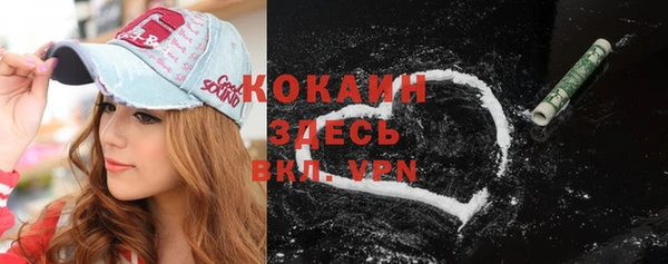 ПСИЛОЦИБИНОВЫЕ ГРИБЫ Верея