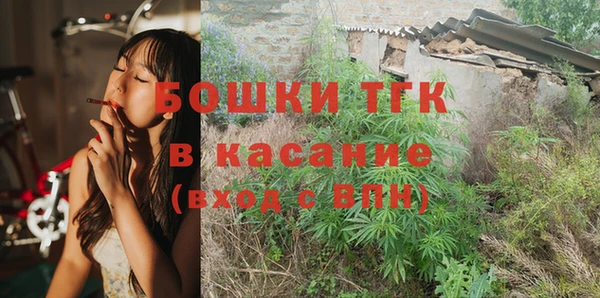 ПСИЛОЦИБИНОВЫЕ ГРИБЫ Верея