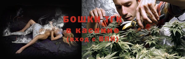 крисы Верхний Тагил